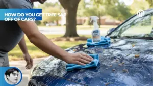 【Explained】How Do You Get Tree Sap Off of Cars?