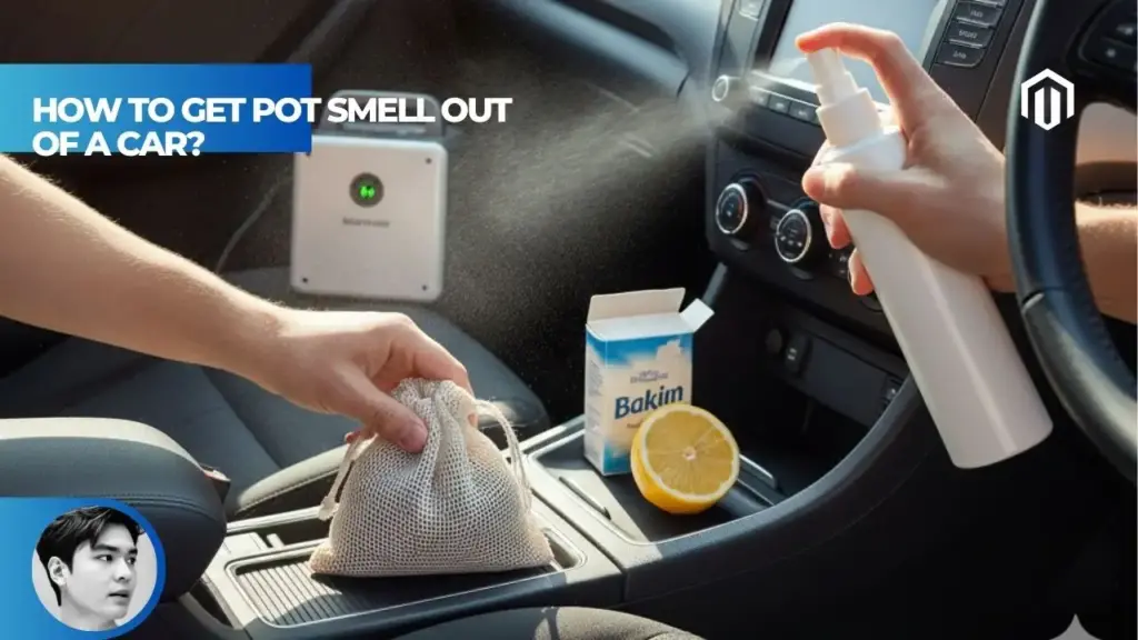 【Explained】How to Get Pot Smell Out of a Car? Your Complete DIY Guide 9 %e3%80%90explained%e3%80%91how-to-get-pot-smell-out-of-a-car-1