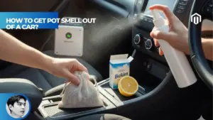 【Explained】How to Get Pot Smell Out of a Car? Your Complete DIY Guide
