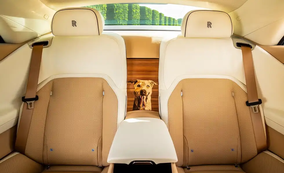 Golden Retriever Gets Custom Rolls-Royce Worth Hundreds of Thousands 7 image 204